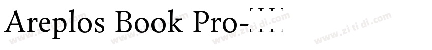 Areplos Book Pro字体转换